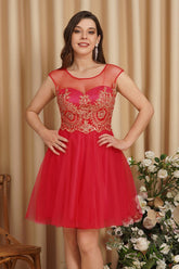 A-Line Lace Appliques Sweetheart Short Evening Dresses